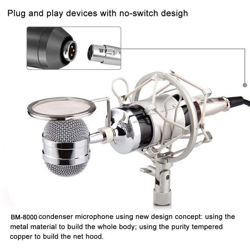 Professional Condenser Mic