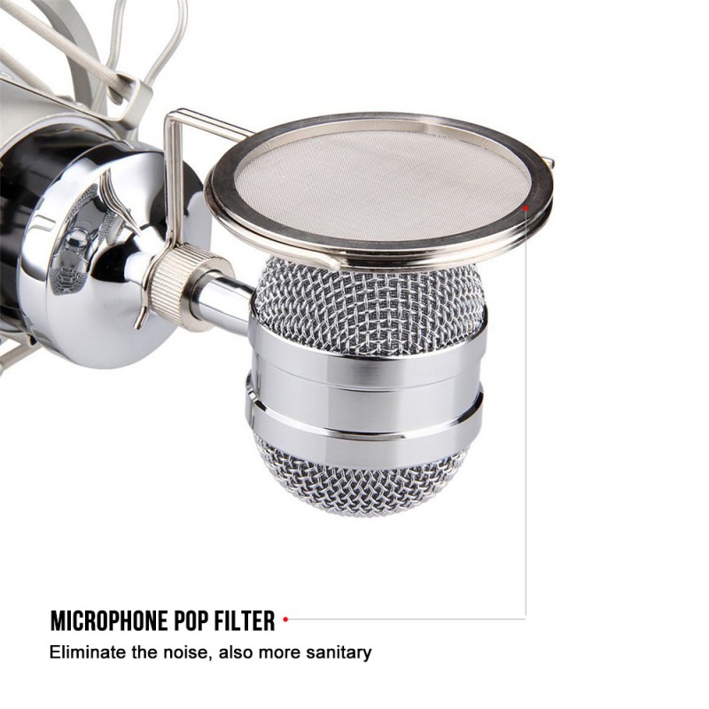 Professional Condenser Mic